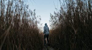 A solitary person walks through tall grasses under the twilight sky, embodying solitude and nature.